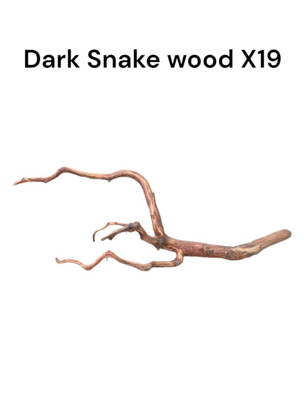 Dark Snake Wood X19